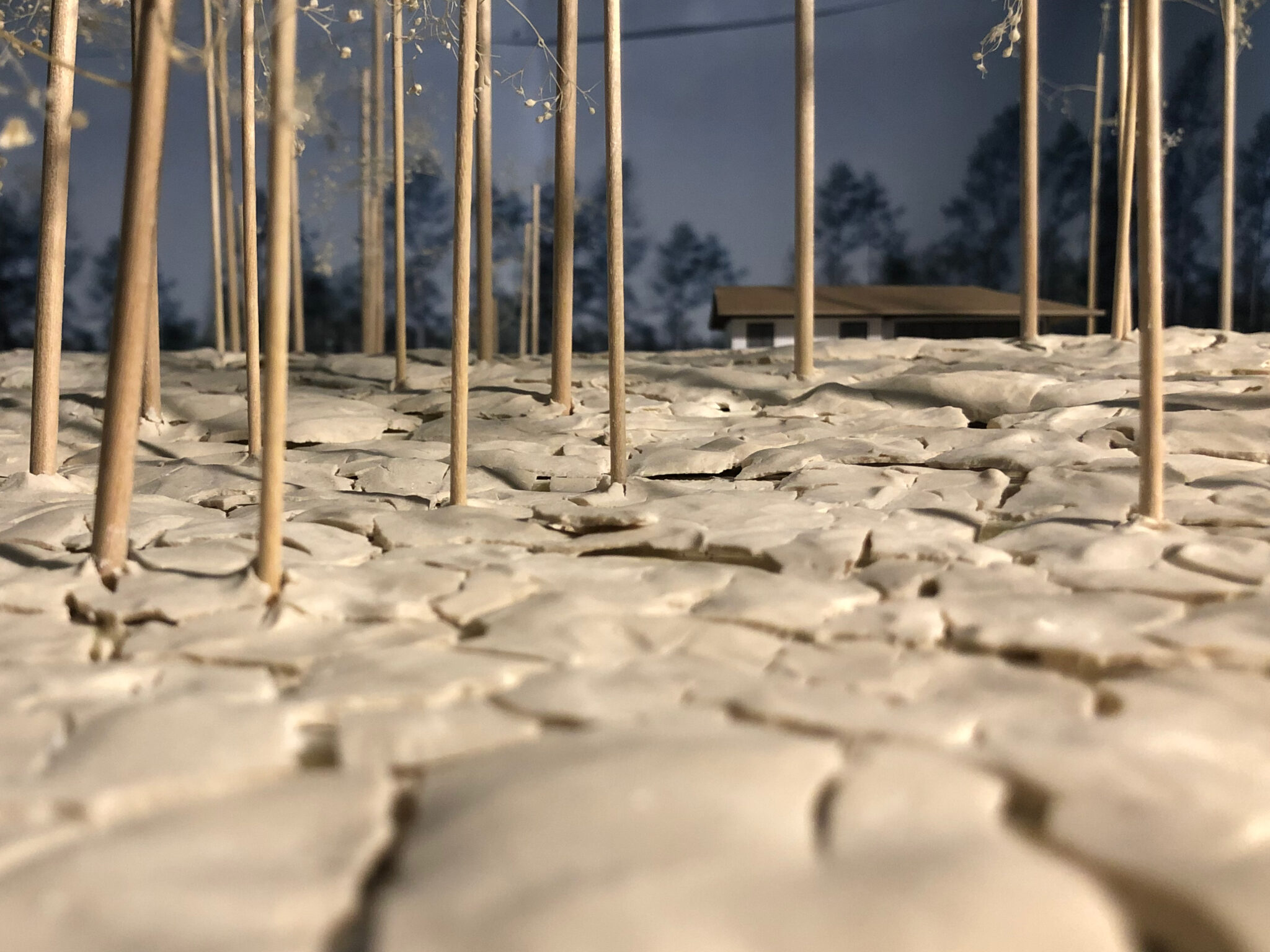 The Ultimate Guide To Tree Farm Golf Initiation Fees - 2f1dw5k