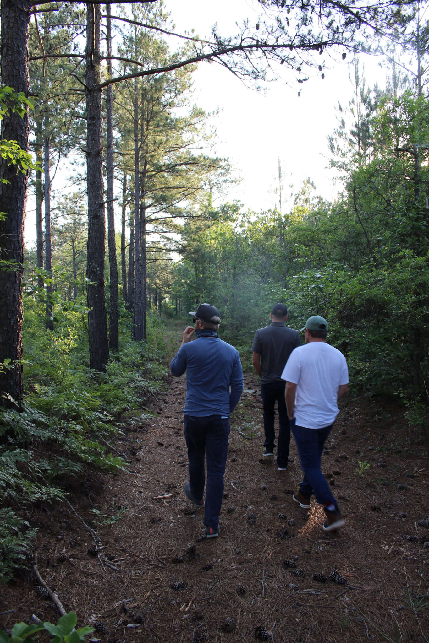 The Ultimate Guide To Tree Farm Golf Initiation Fees - 75hz6bh