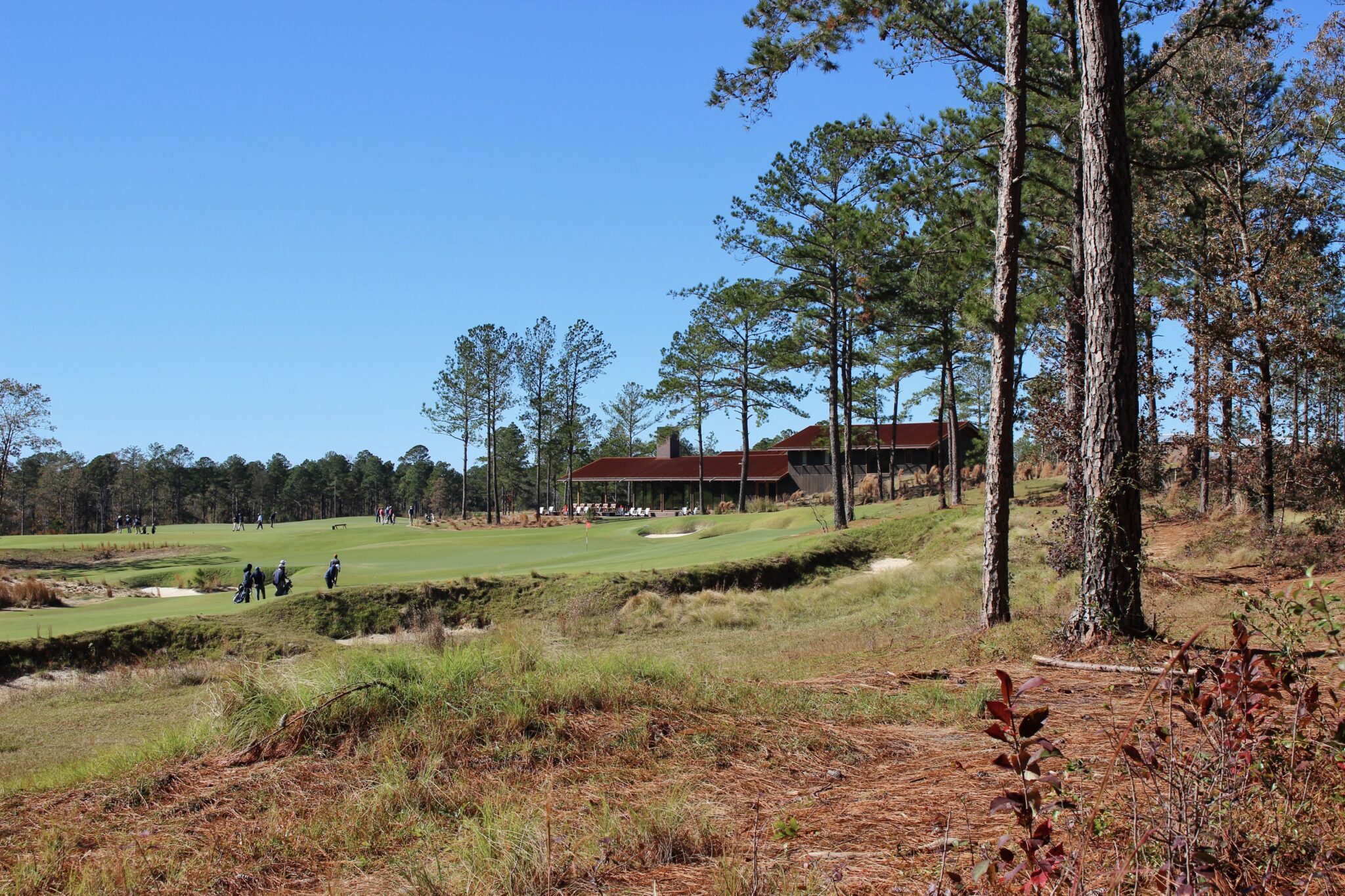 The Tree Farm Golf Club - Rivers Barden Architects