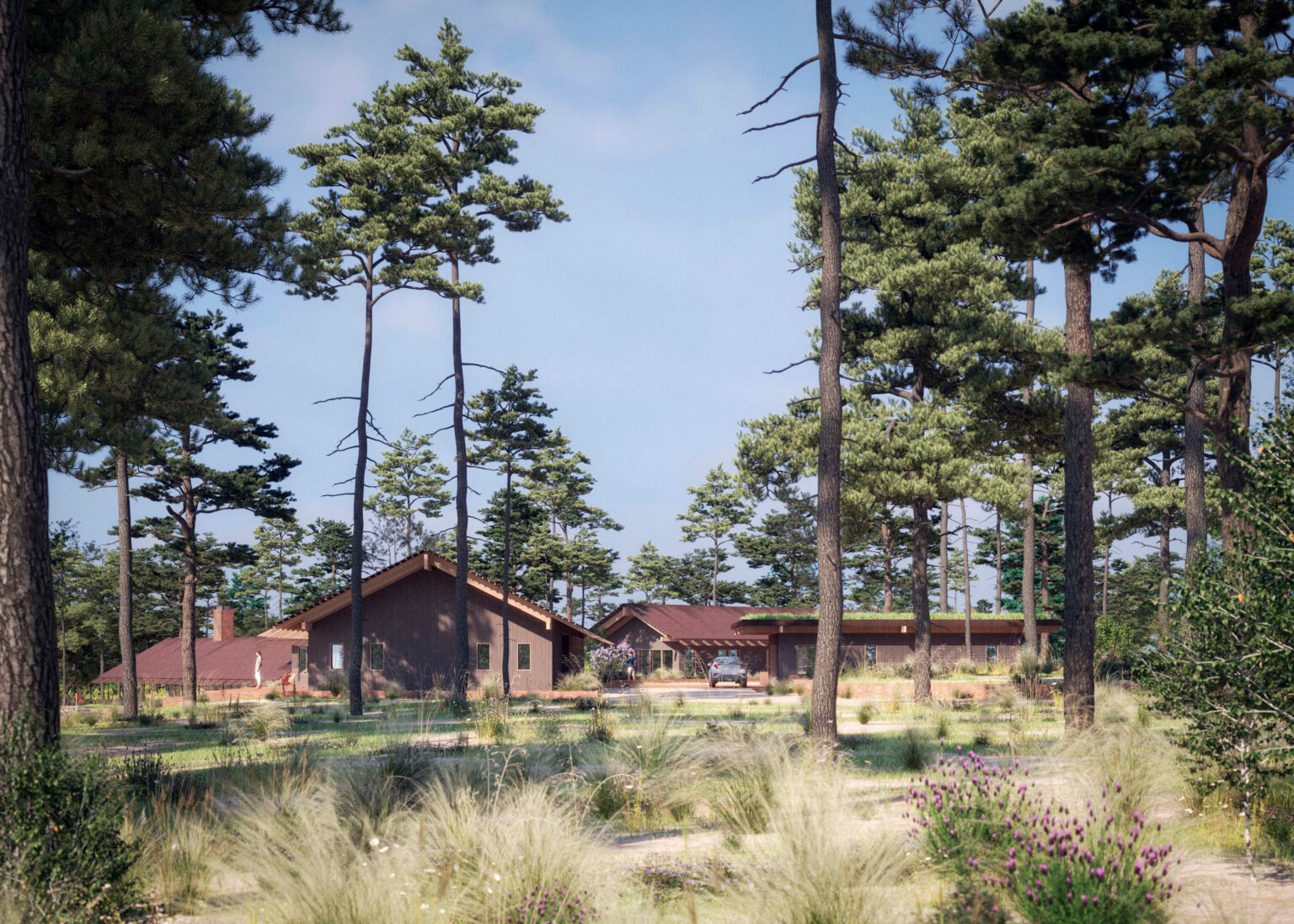 The Tree Farm Golf Club - Rivers Barden Architects