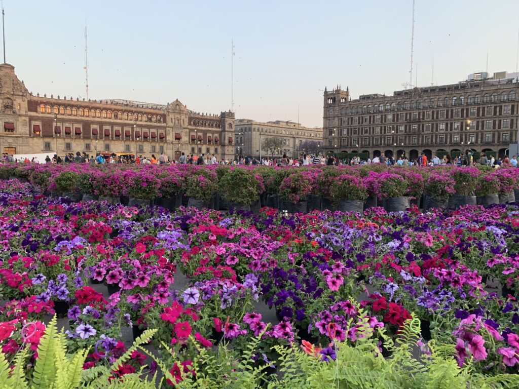 Zocalo, Mexico City